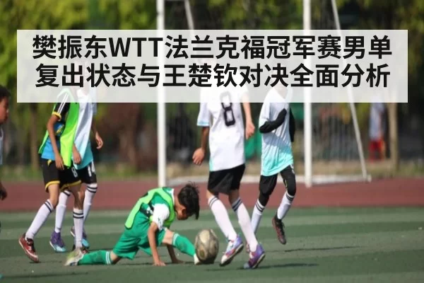 樊振东WTT法兰克福冠军赛男单复出状态与王楚钦对决全面分析